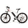 26 Inch Electric Bike Power Assist Electric Bicycle E-Bike 350W Motor Moped Bike